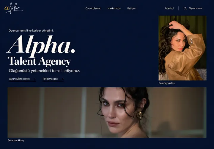 Serif panorama ana sayfa tasarımı